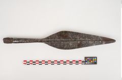 Foto von Eisenlanzenspitze (NHMW-PRAE-002269)